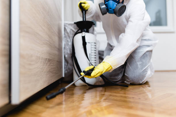 Best Pest Control for Businesses  in Hughestown, PA