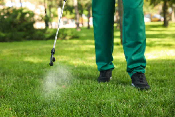 Pest Prevention Services in Hughestown, PA
