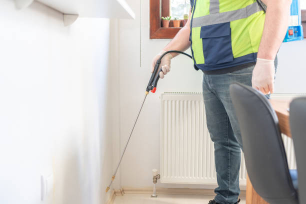 Best Ant Control Services  in Hughestown, PA