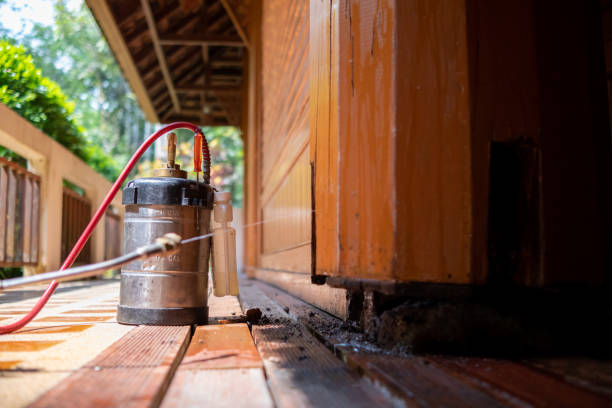 Best Affordable Pest Control Services  in Hughestown, PA