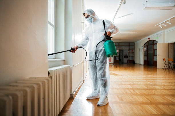Best Flea Control Services  in Hughestown, PA