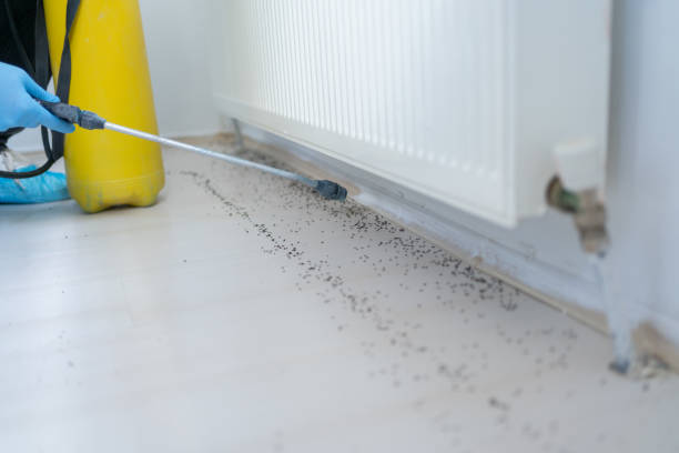 Trusted Hughestown, PA Pest Control Experts