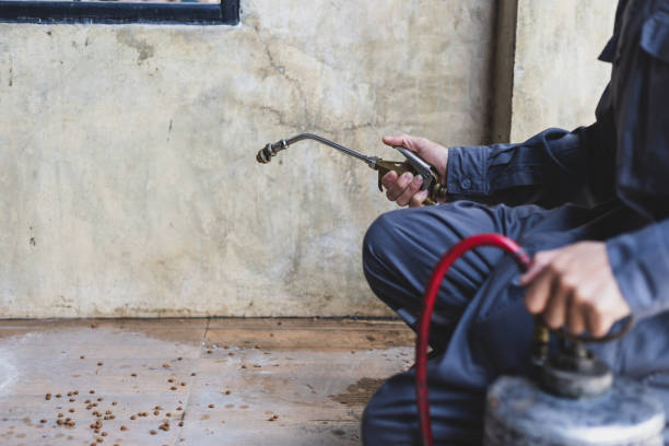 Best Flea Control Services  in Hughestown, PA